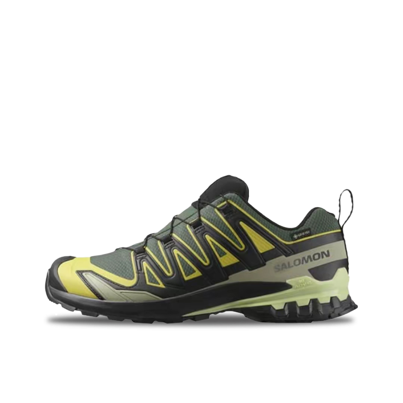 Salomon XA Pro 3D V9 GTX: Retr - Salomon Shoes Xa Pro 3D recension och pris