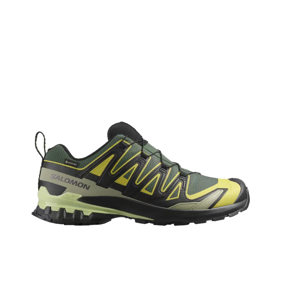 Salomon XA Pro 3D V9 GTX: Retr - Salomon Shoes Xa Pro 3D recension och pris