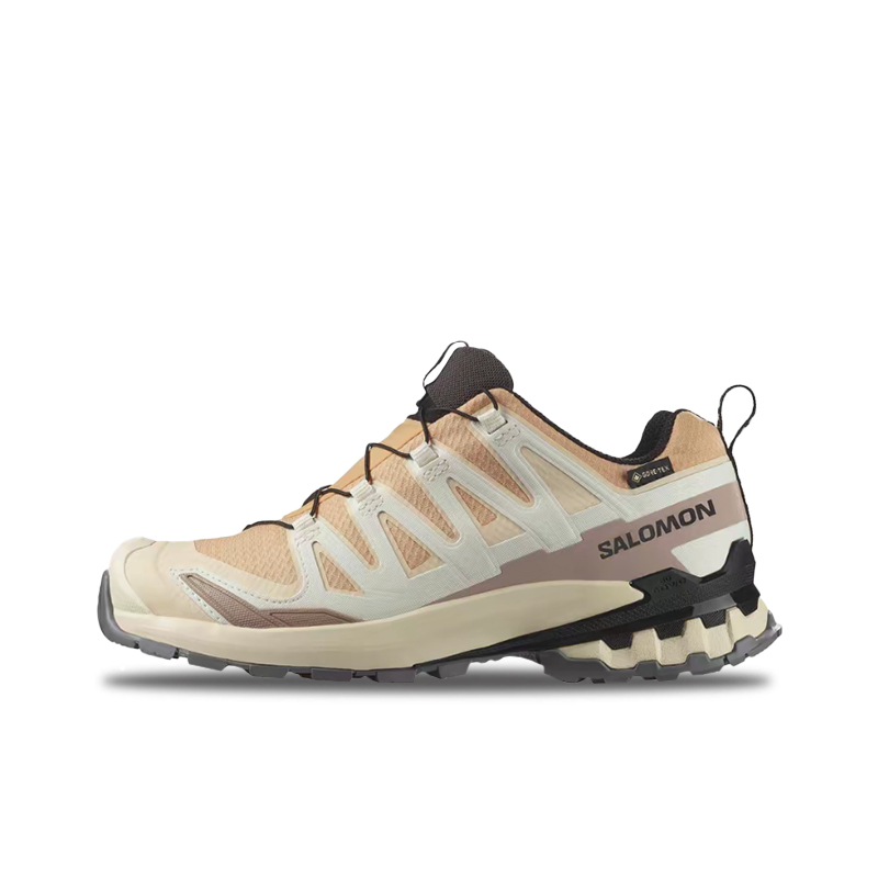 Salomon XA Pro 3D V9 GTX: A lo - Salomon Shoes Xa Pro 3D recension och pris