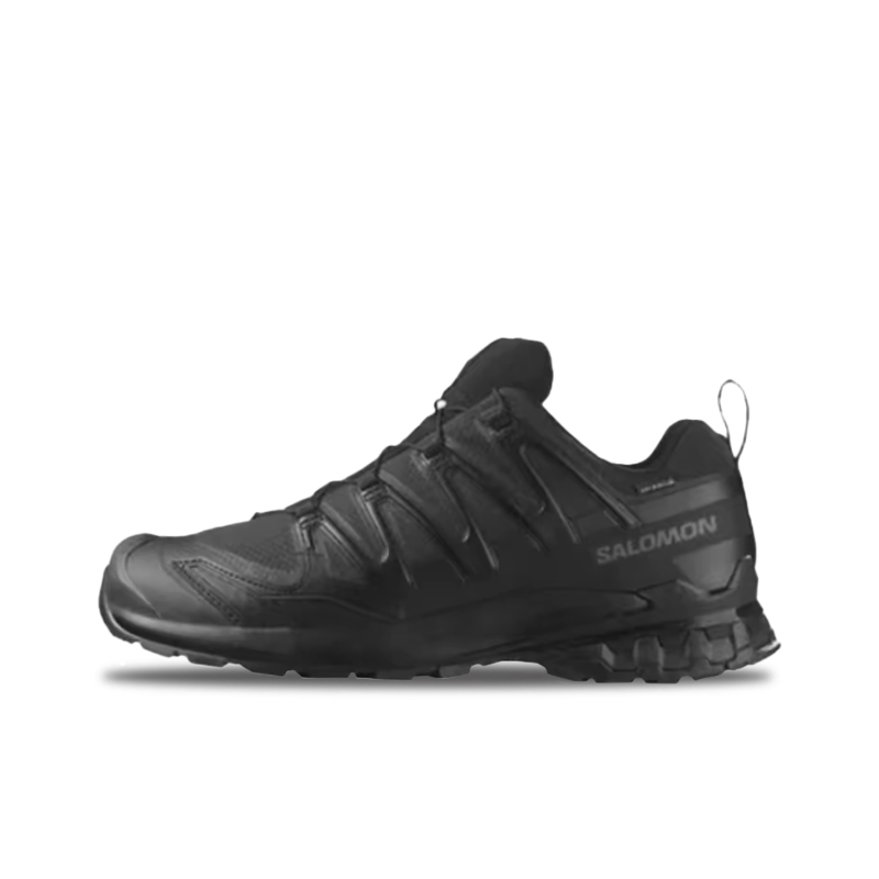 Salomon XA Pro 3D V8: Stylish, - Salomon Shoes Xa Pro 3D recension och pris