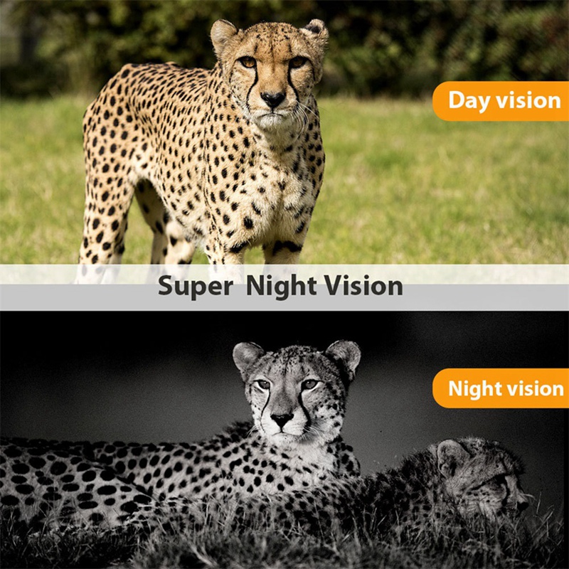 -801A 4K UHD 36MP 4G LTE Night - Outdoor Hunting Camera Wireless recension och pris