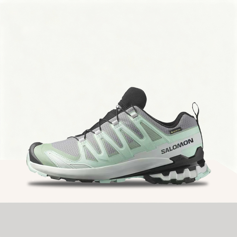Salomon XA Pro 3D V9 GTX: Styl - Salomon Shoes Xa Pro 3D recension och pris