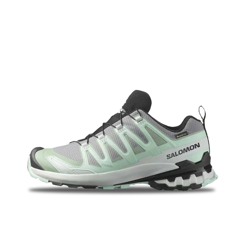 Salomon XA Pro 3D V9 GTX: Styl - Salomon Shoes Xa Pro 3D recension och pris