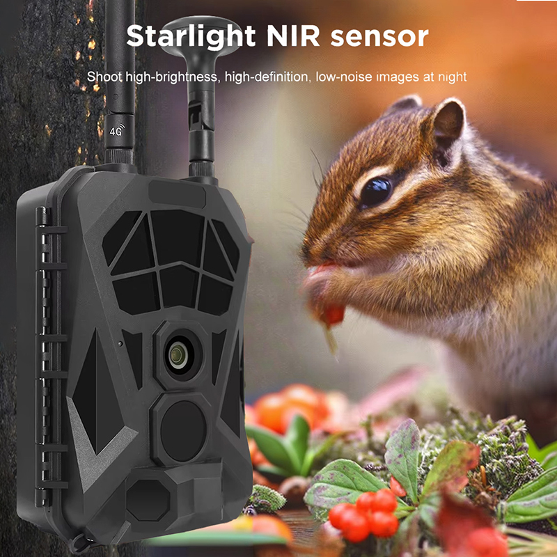 Trail Camera 4G GPS Wireless I - Outdoor Hunting Camera Wireless recension och pris
